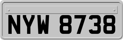 NYW8738