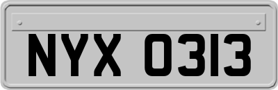 NYX0313