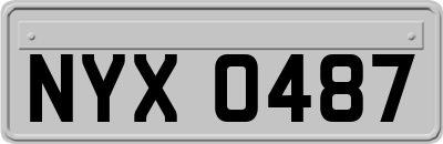 NYX0487