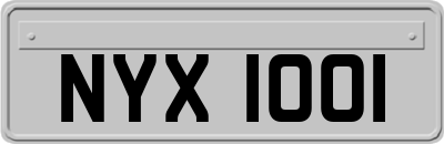 NYX1001