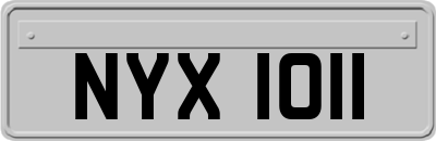 NYX1011