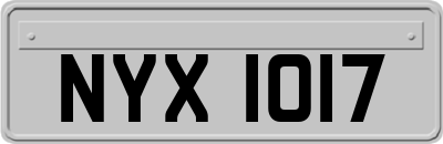 NYX1017