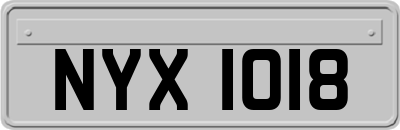 NYX1018
