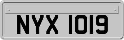 NYX1019