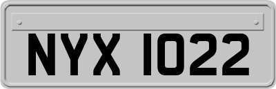 NYX1022