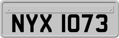 NYX1073