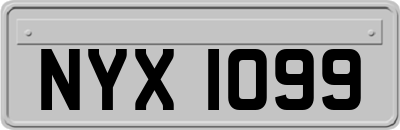 NYX1099