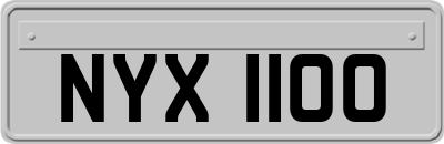 NYX1100