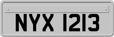 NYX1213