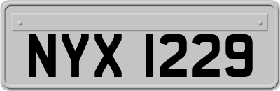 NYX1229