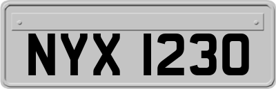 NYX1230