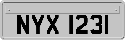NYX1231