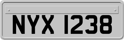 NYX1238