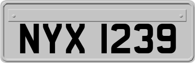 NYX1239