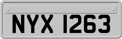 NYX1263