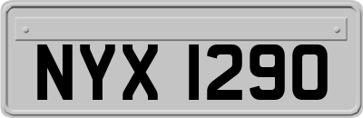 NYX1290