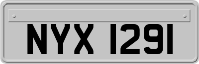 NYX1291