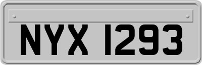 NYX1293