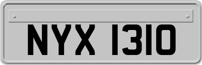 NYX1310