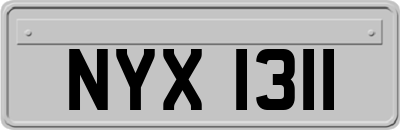 NYX1311