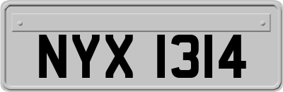 NYX1314
