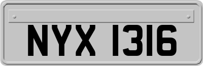 NYX1316