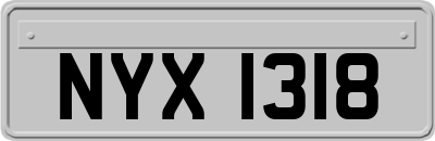 NYX1318