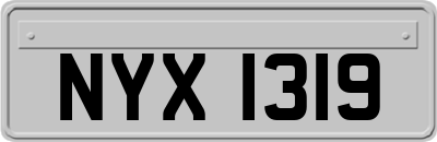 NYX1319