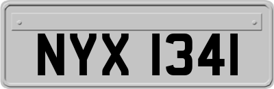 NYX1341