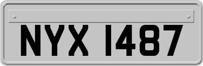 NYX1487