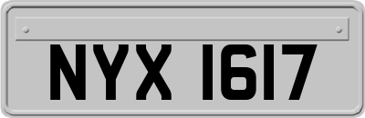 NYX1617