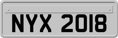 NYX2018