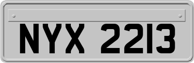 NYX2213