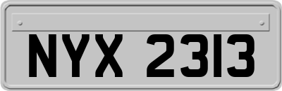 NYX2313