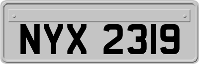 NYX2319
