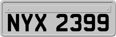 NYX2399