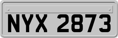 NYX2873