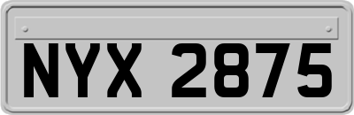 NYX2875