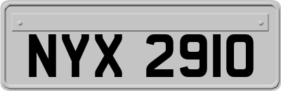 NYX2910