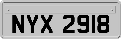 NYX2918