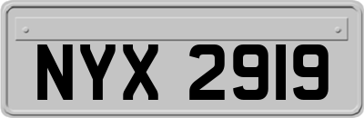 NYX2919