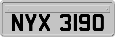 NYX3190