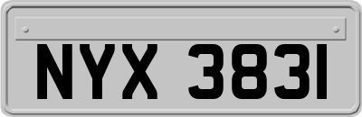 NYX3831