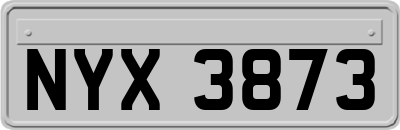 NYX3873