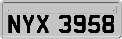 NYX3958