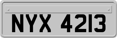 NYX4213