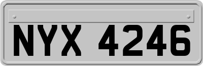NYX4246