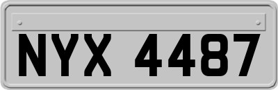 NYX4487