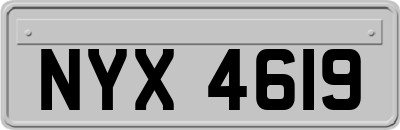 NYX4619
