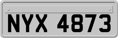 NYX4873